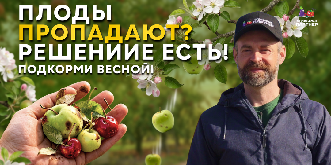 ВЕСЕННЯЯ ПОДКОРМКА САДА 🌳 // Что важно знать о подкормках плодовых деревьев и ягодных кустарников