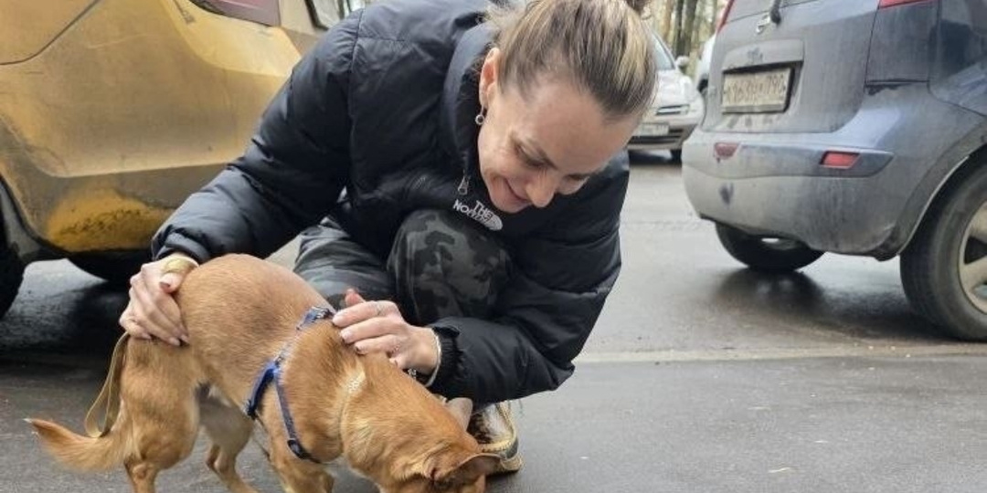 Маленький собачонок, которого вышвырнули с третьего этажа, кажется обрел свое счастье🥹