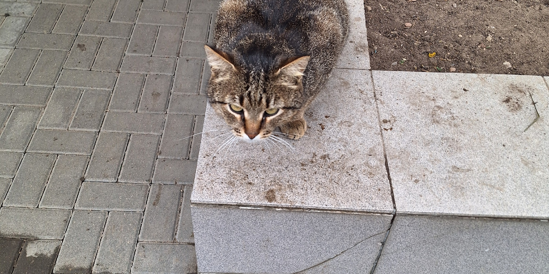 Три государственных поликлиники, а столько эмоций!