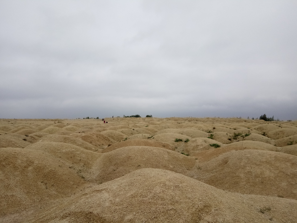 Знаменитые песчаники Борницкого карьера.