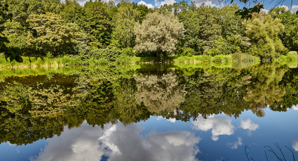 Журналист. Разговор с Заремой (продолжение).
