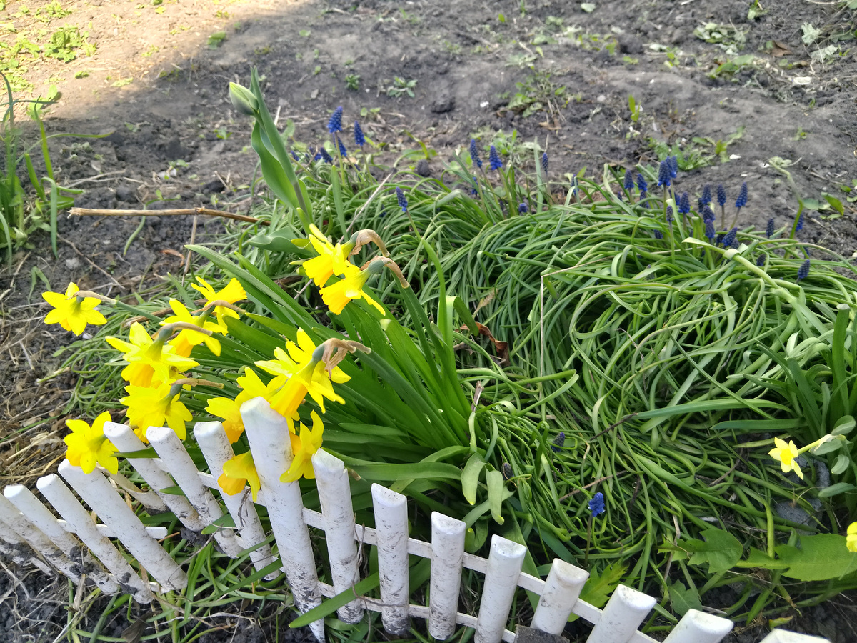 Фото автора, солнечный день