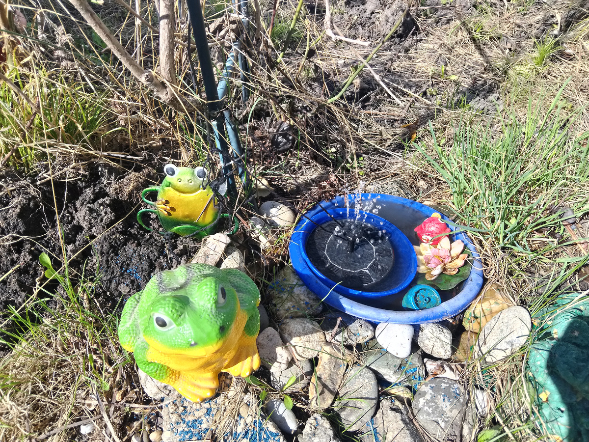 Фото автора, мой фонтанчик