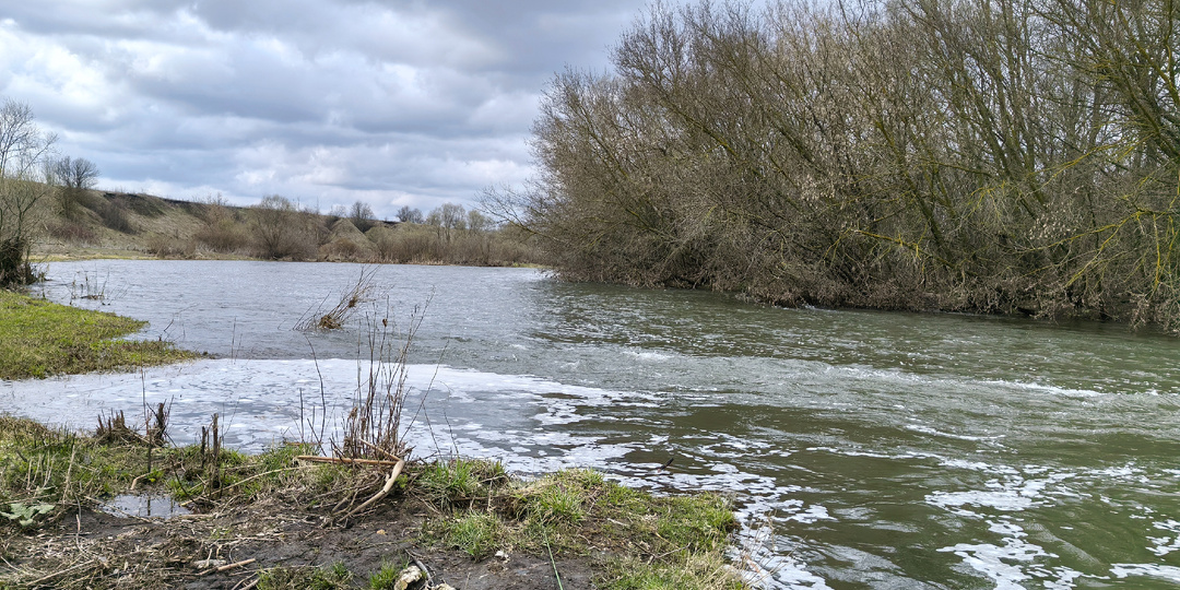 Открыл сезон рыбалки на Дону. Уклейка не дала заскучать, плотва иногда тоже давала о себе знать