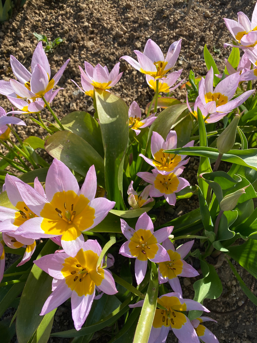 18.04.26