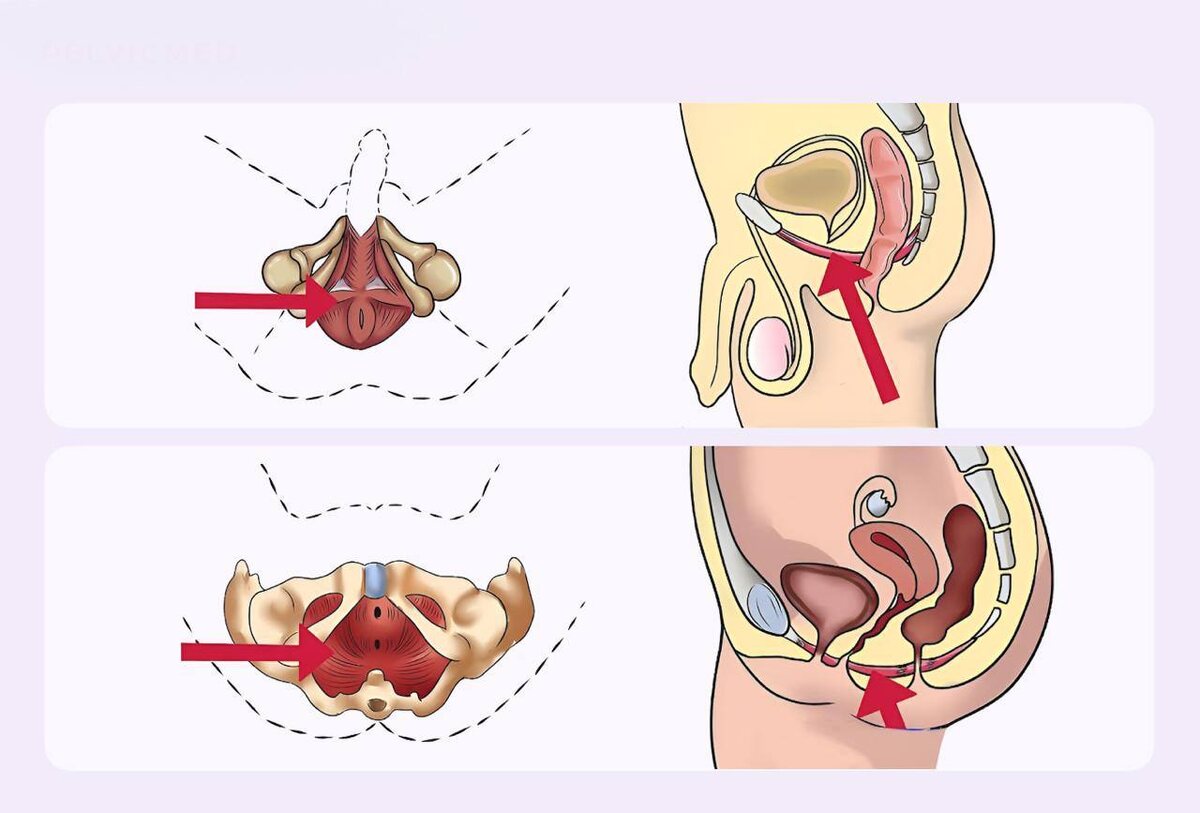 фото из открытого источника