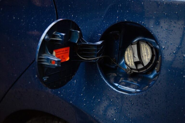    Фото: Общественная Служба Новостей Анастасия Мишкина