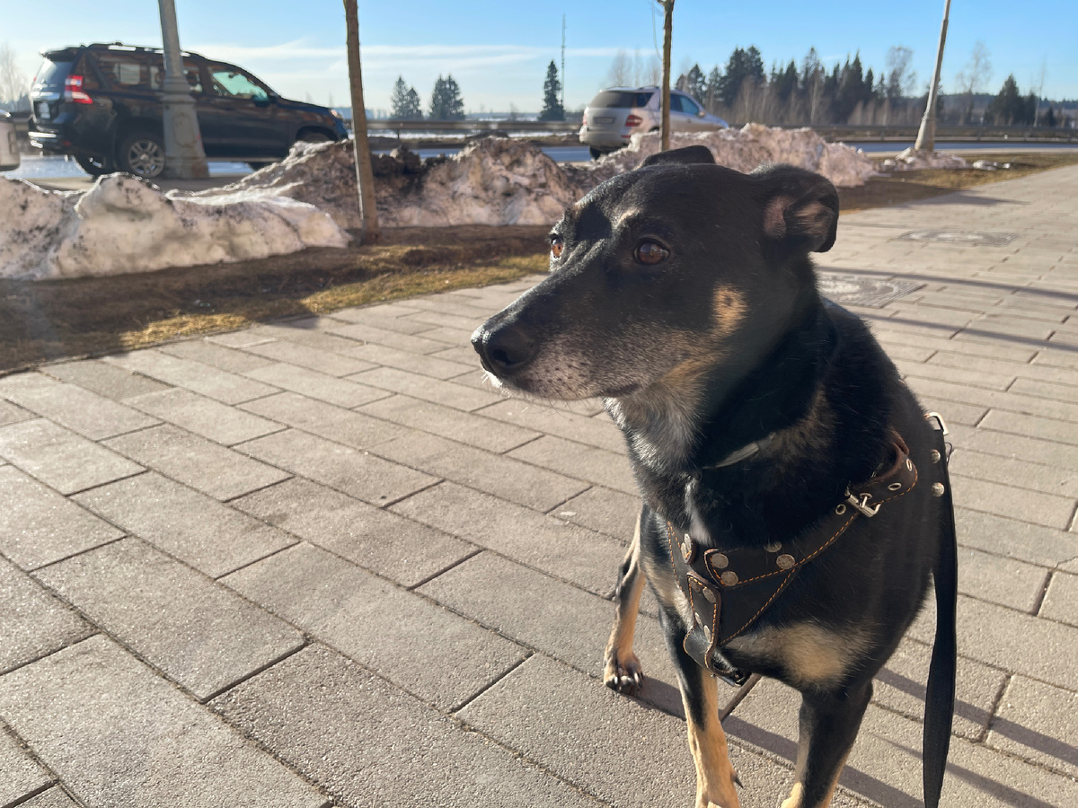 И вот думайте, смотря на мою фотографию, вспоминаю я прошлое или нет 😉