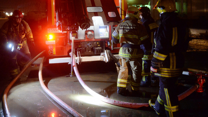    Фото: © РИА Новости/Кирилл Каллиников