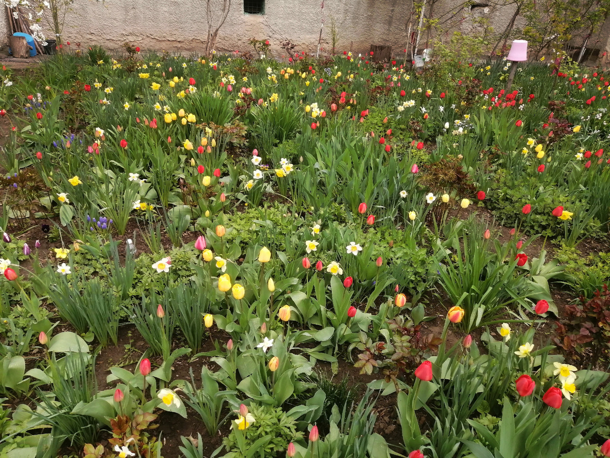 Весна в ПМР