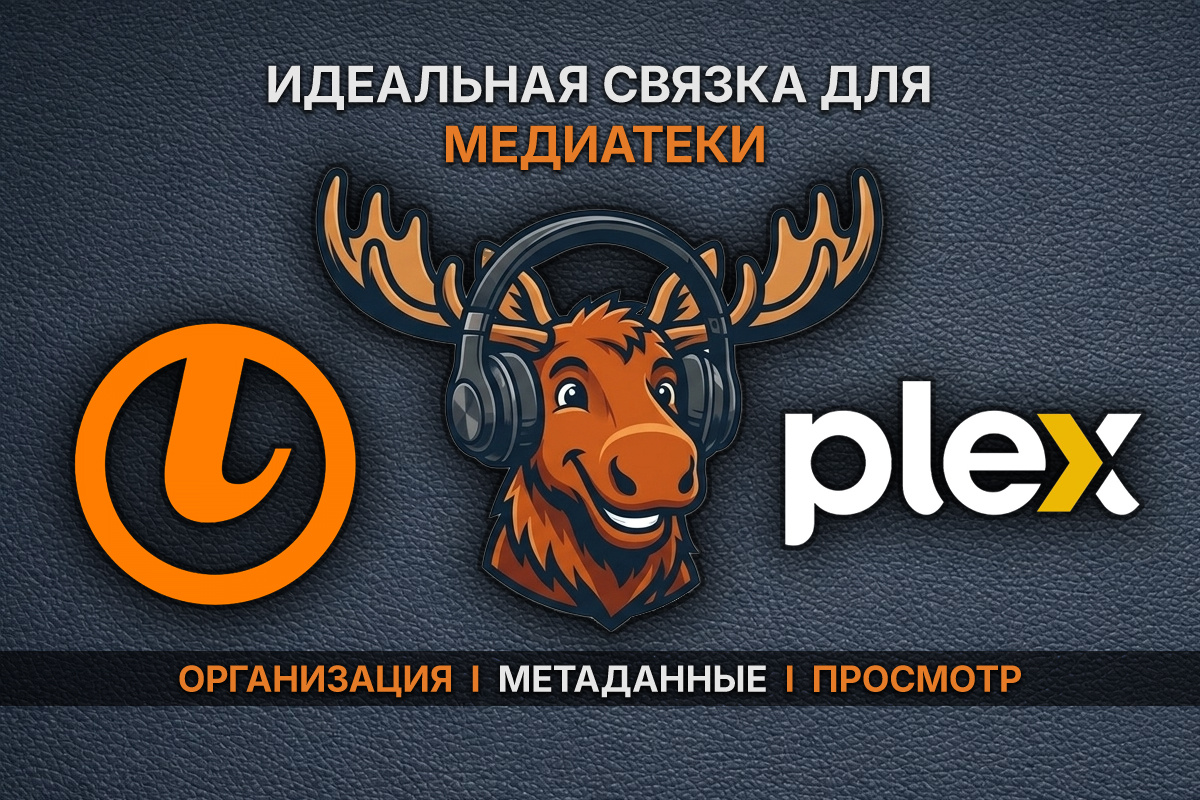 Идеальная связка для медиатеки