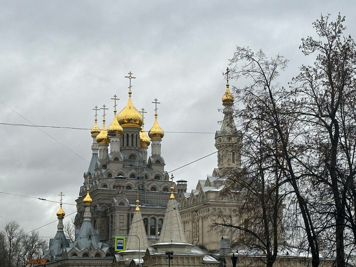    Фото: Бриф24