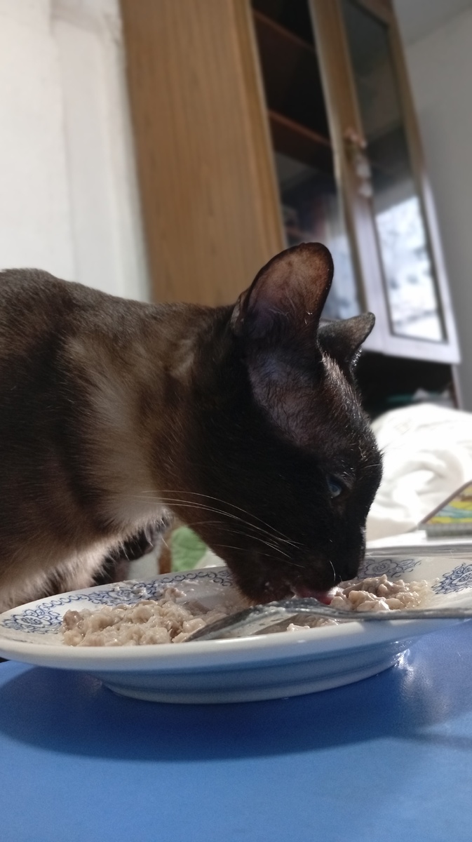 Фото из личного архива