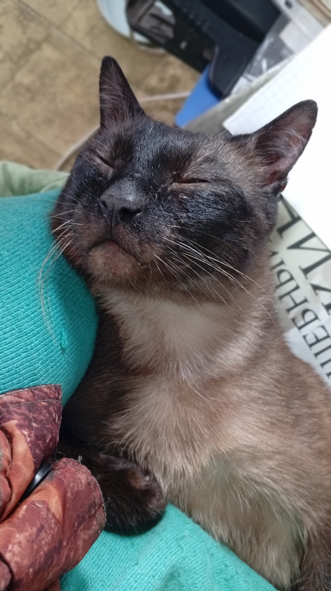 Фото из личного архива