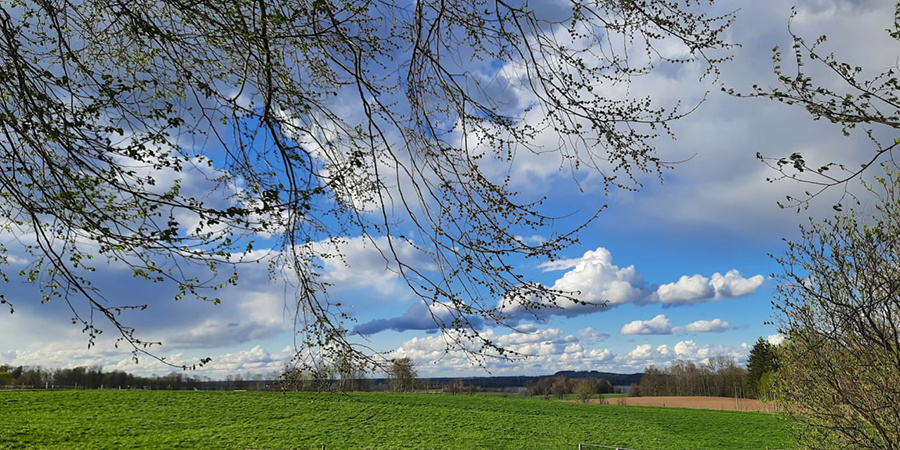 Суббота пройдет в Саратове преимущественно без осадков