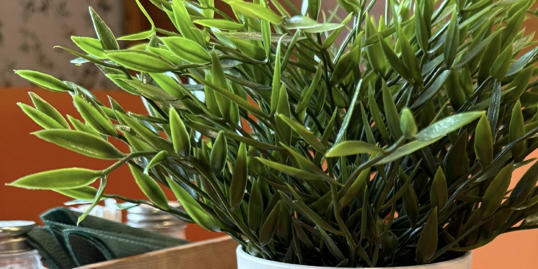 Выплатил деньги за разбитую тачку и пусть идёт лесом