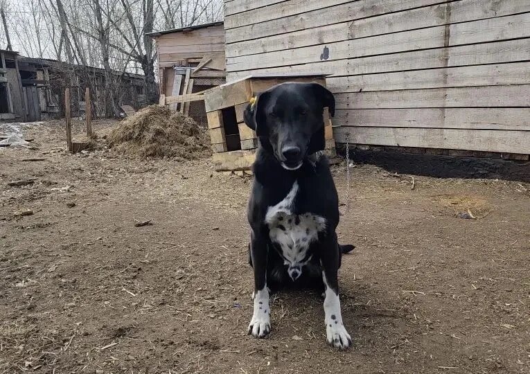 Спасите нас, пожалуйста, не получается дать вам отдых в выходные дни, вчера поступило всего 12т.р., а долги огромные на зарплату и на крупу.