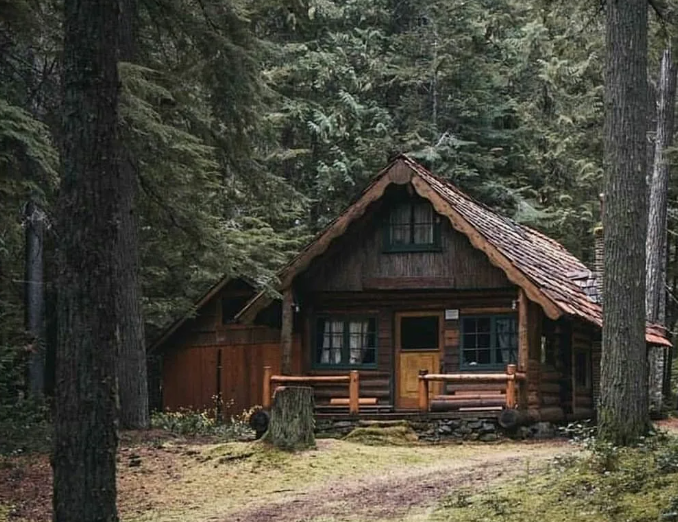 Яндекс картинки