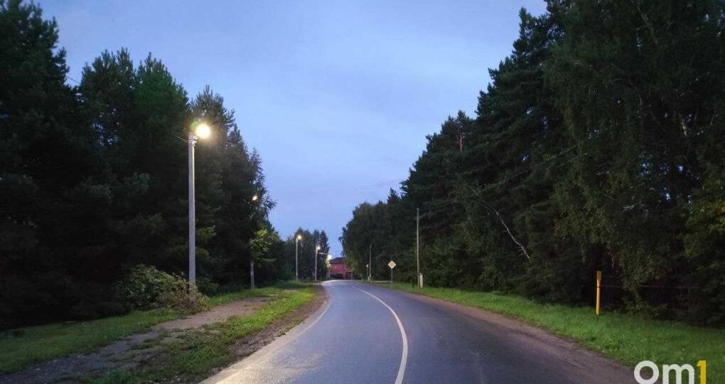 Внимание, лось: омских водителей предупредили о диких животных на трассах