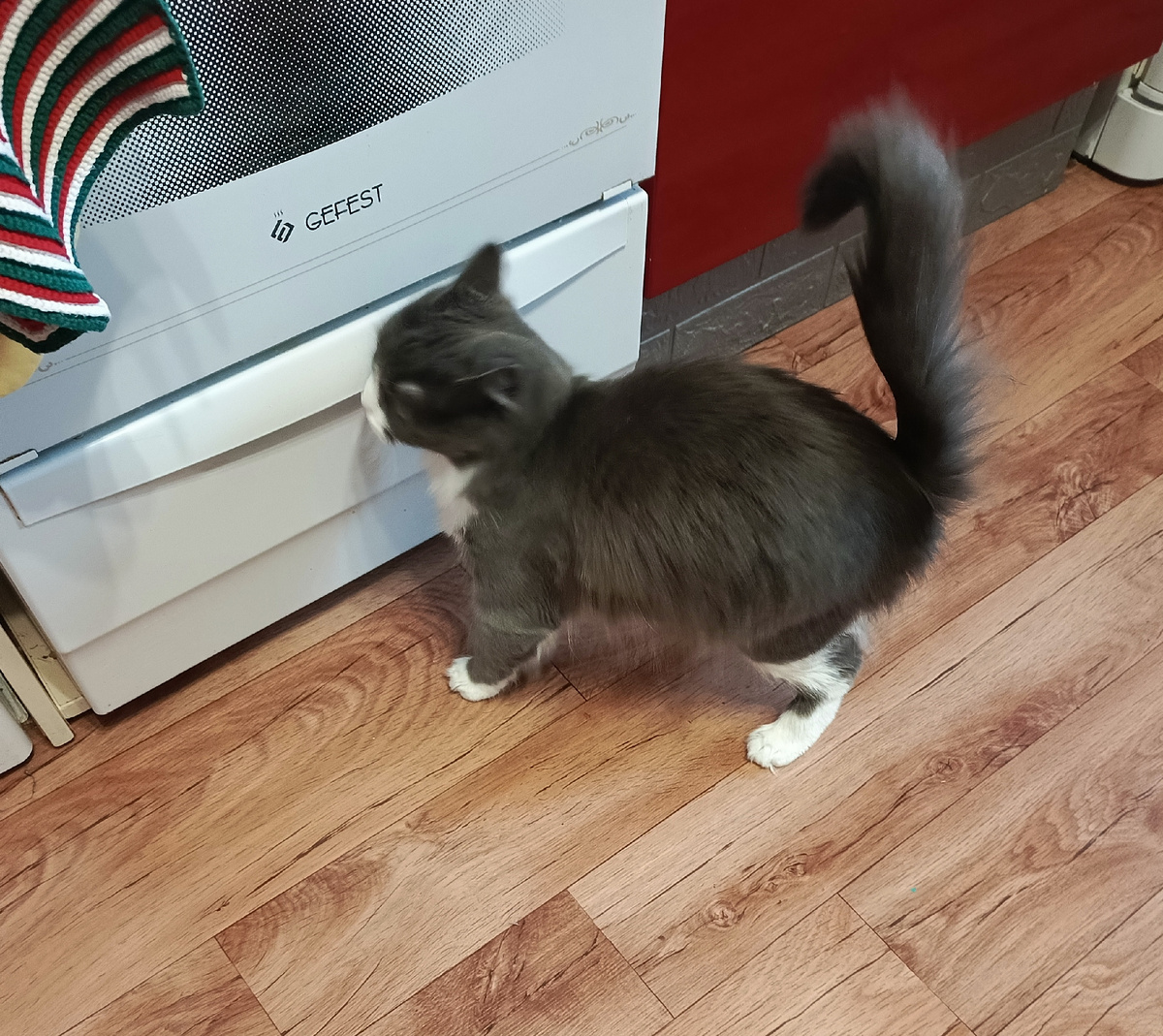 Фото автора