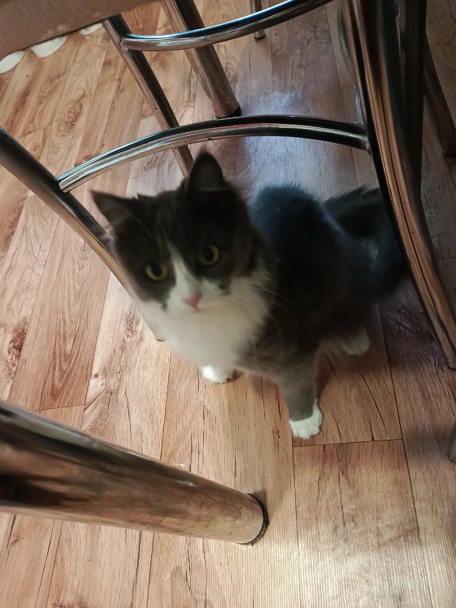 Фото автора.