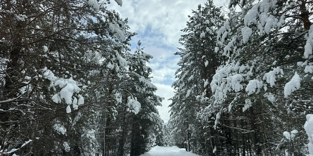 А в Турочакском районе сегодня так