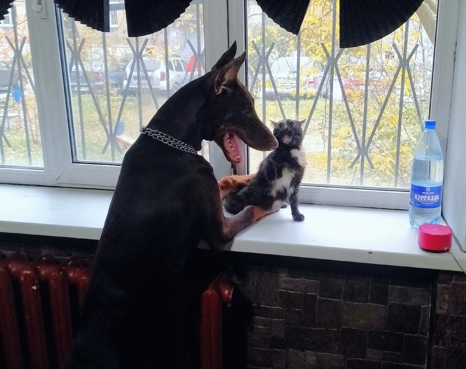 Джек и Соня