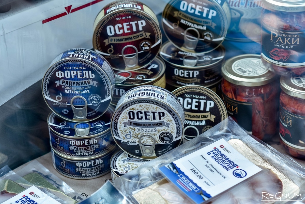     / Источник: Дарья Антонова © ИА Регнум