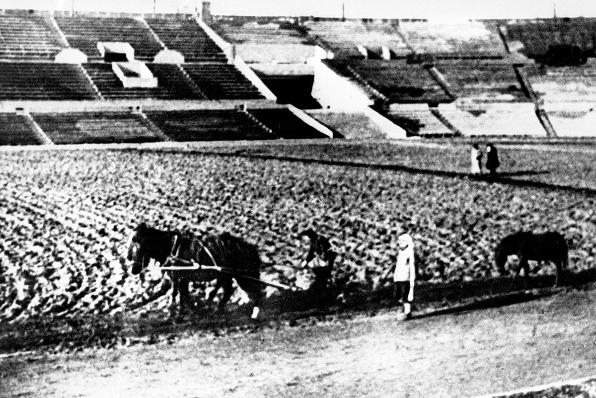    Работники стадиона "Динамо" сеют газон. 5 мая 1931 года./РИА Новости