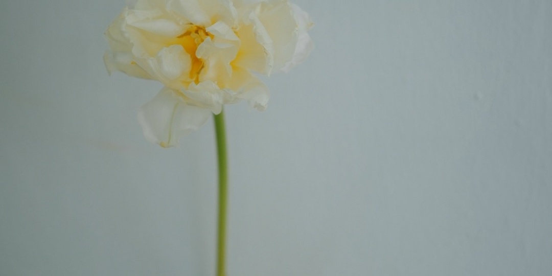 ФОТОГРАФ Дмитрий Алексеев | Тюмень