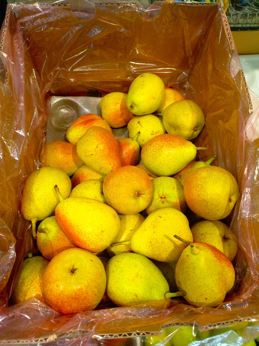 Фото сделано автором канала