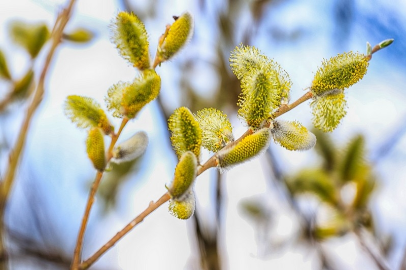 В Башкирии ожидается контрастная погода: прогноз на 19 апреля