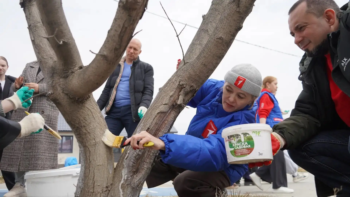 Анивчане организовали побелку деревьев на центральной улице города.
