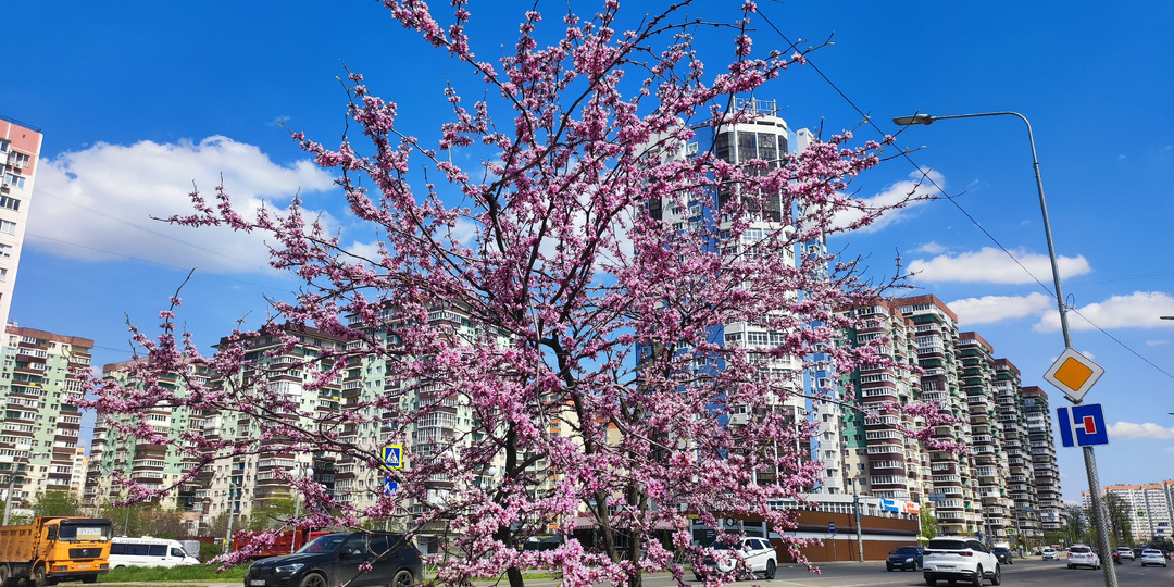 Весна зовёт на улицу. Новые объекты которые мы долго ждали.