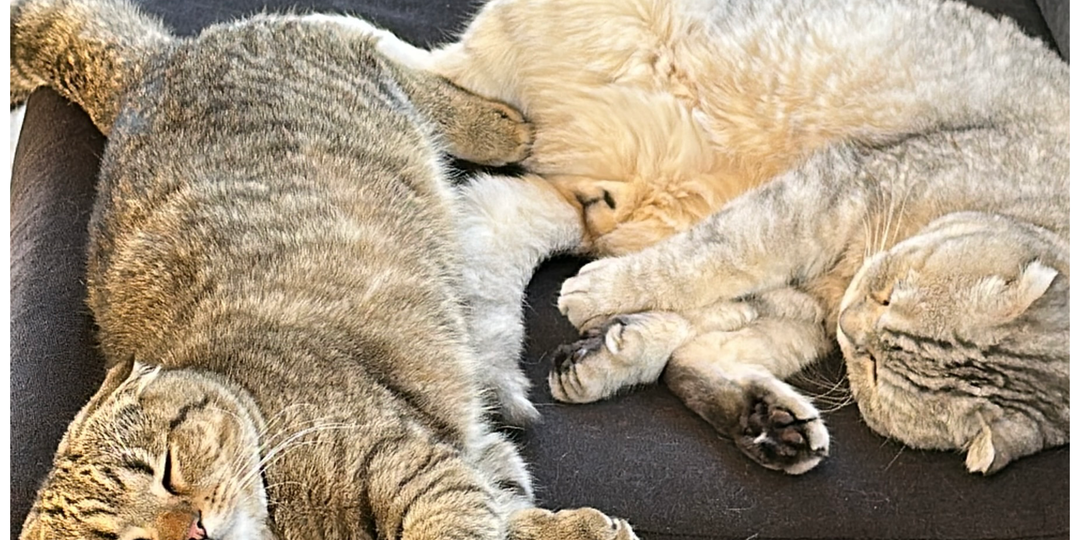 Хороших выходных, друзья♥️