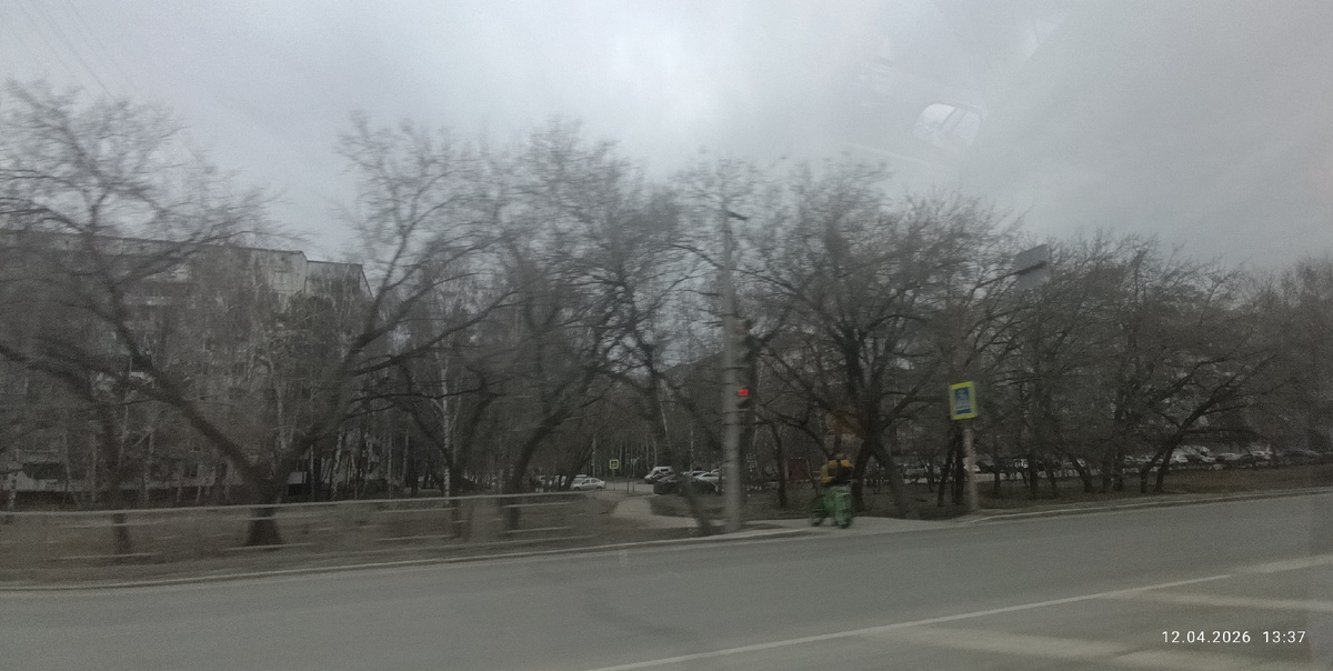 Вот такая мрачная и достаточно холодная погода была всю неделю. Фотография автора, апрель 2026 года. 