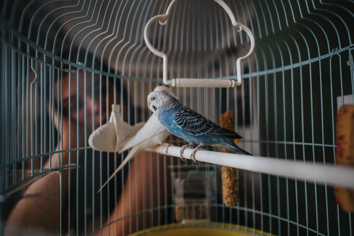     123RF/legion-media.ru