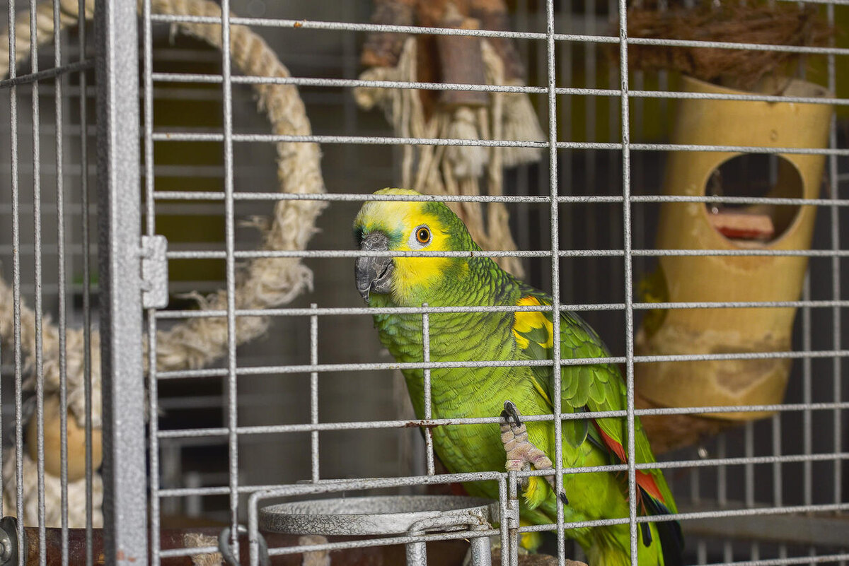     123RF/legion-media.ru