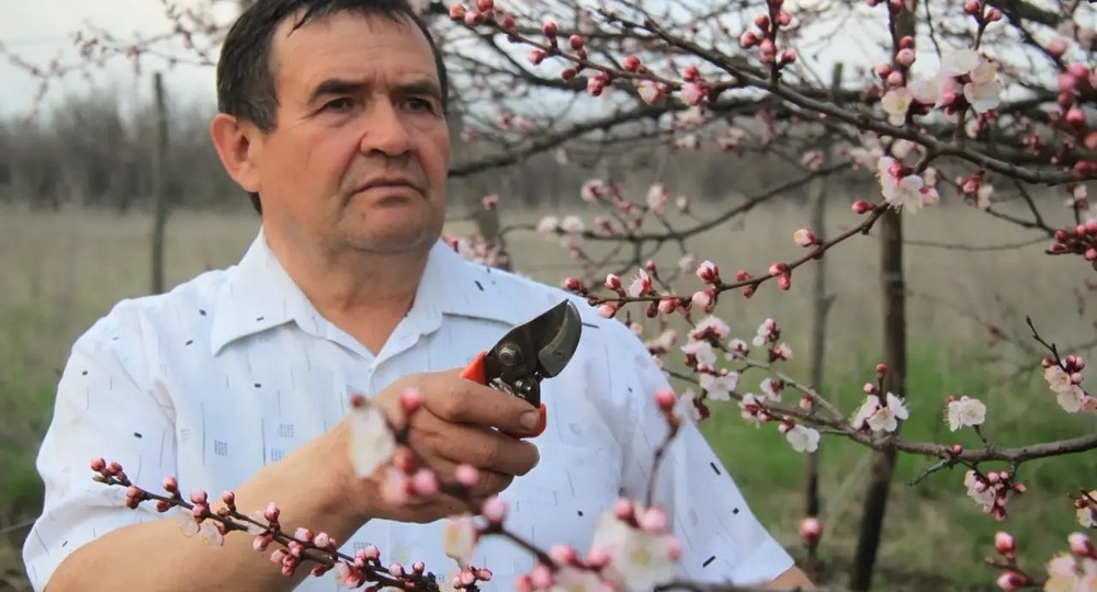 Эксперт Владимир Косов: как подготовиться к весенним заморозкам