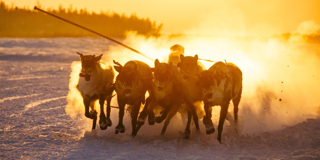 Гонки по-Ямальски