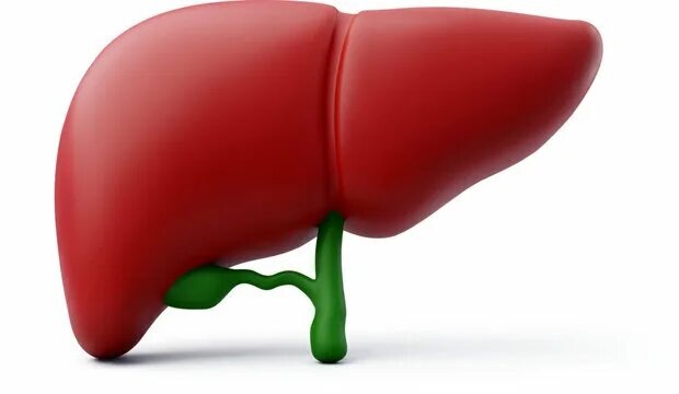 Топ 3 продукта для восстановления печени! Они на самом деле чинят клетки без лекарств.