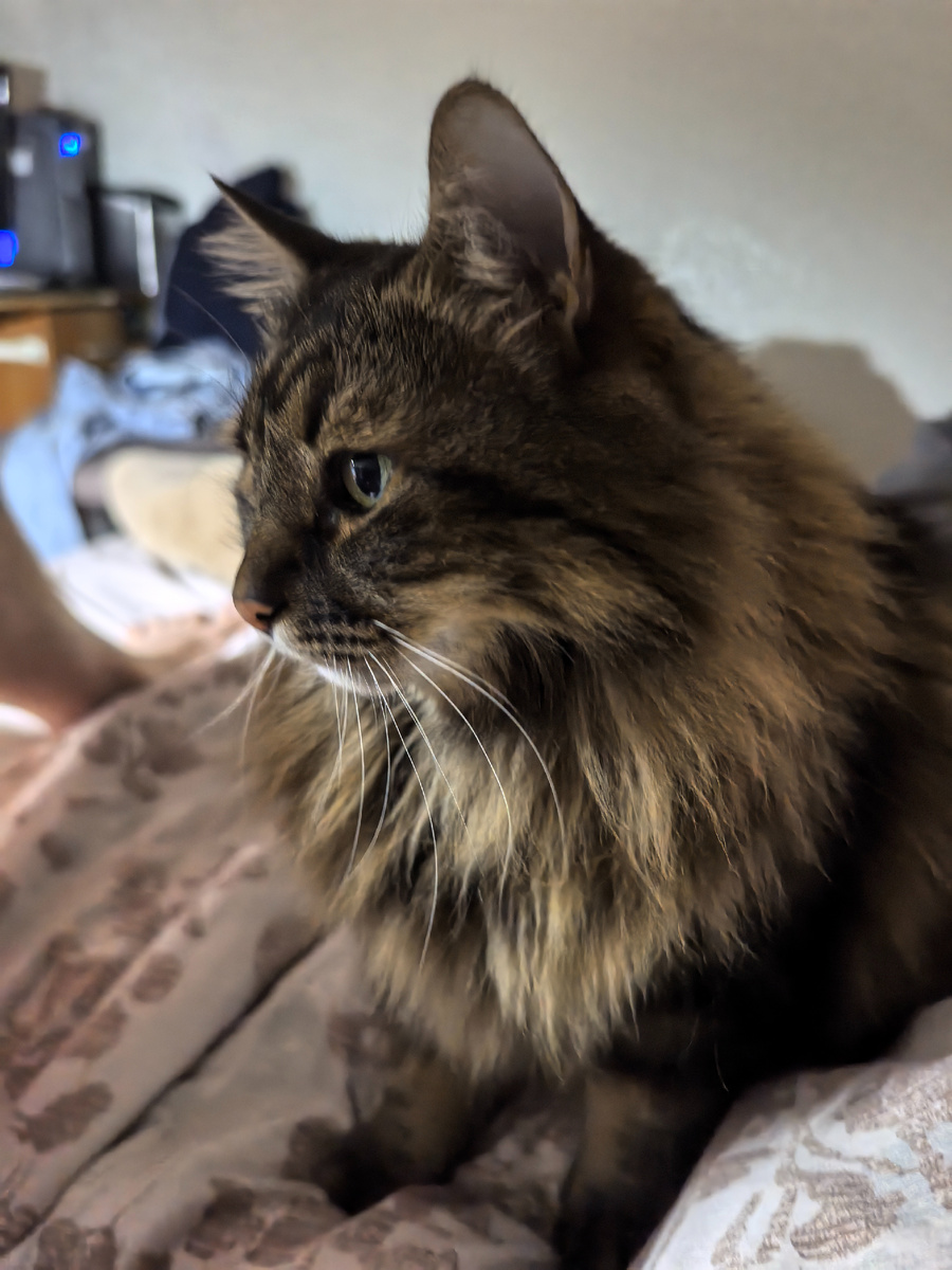 Фотка вышла с эффектом размытости.