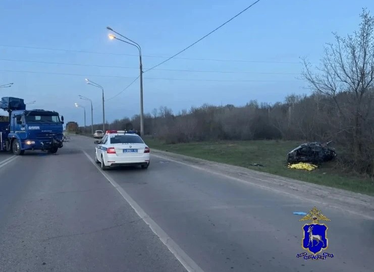 В Самарской области в ДТП с КамАЗом погибли женщина и ребенок, еще двое пострадали