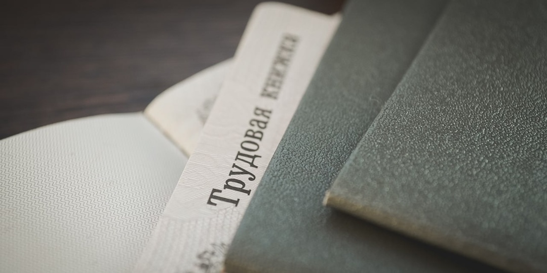 Как изменятся условия на рынке труда в 2026 году?