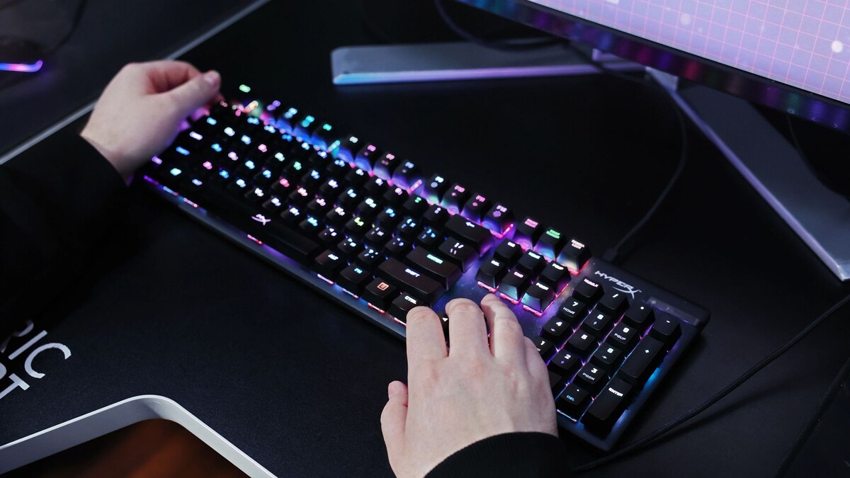    Фото: Андрей Ткачев / «Ямал-Медиа»