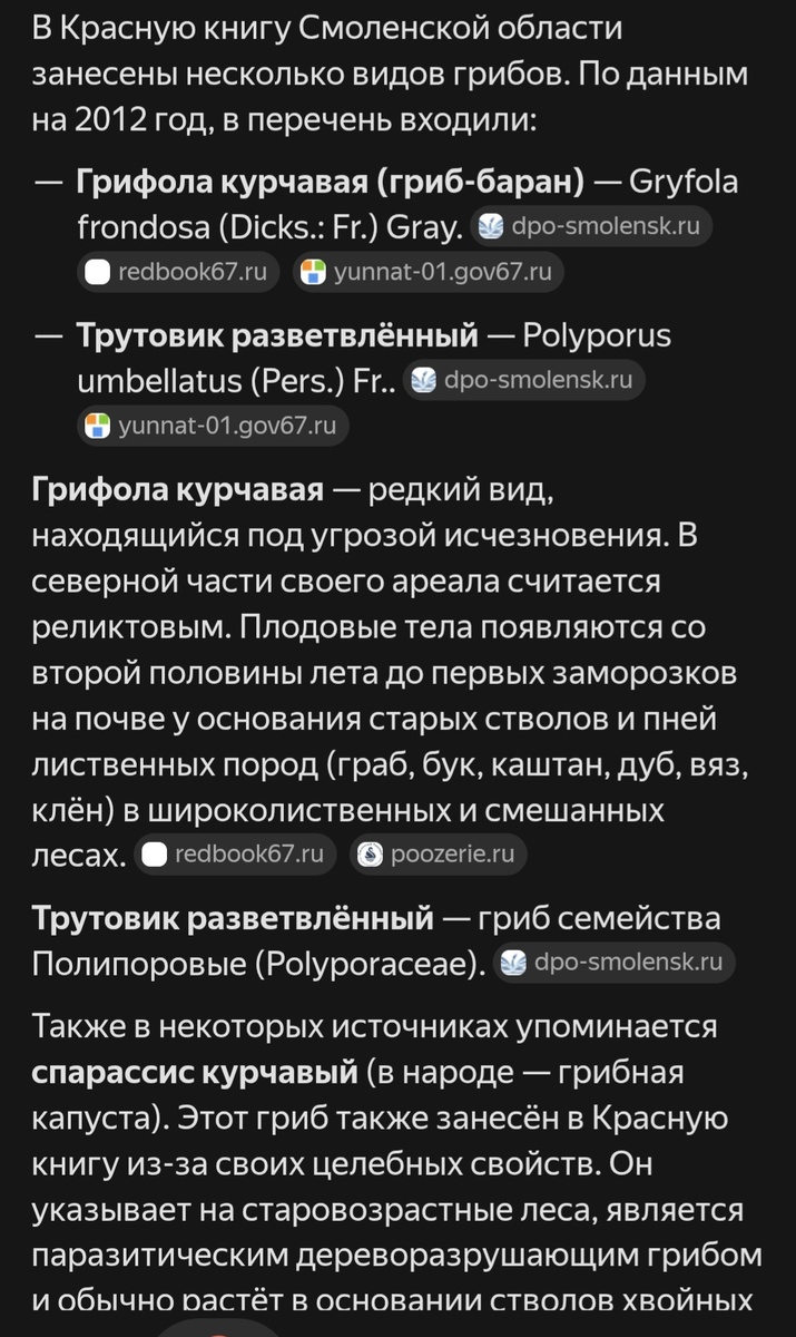 Фото автора канала