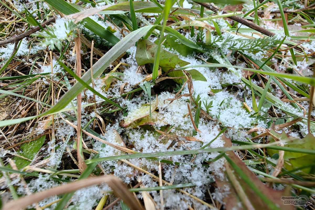    Фото: Лидия Аникина © ИА «Уральский меридиан»