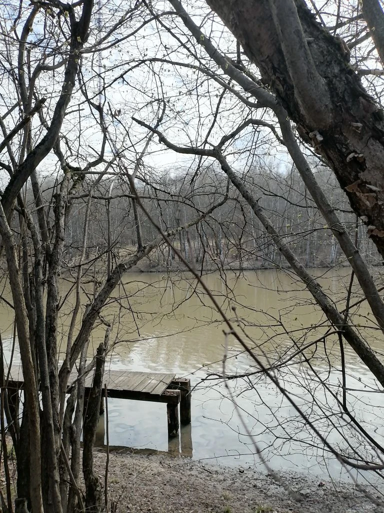 Тропаревский парк. Фото автора.