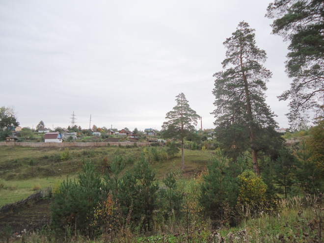 
Пересечённая местность Русского поля