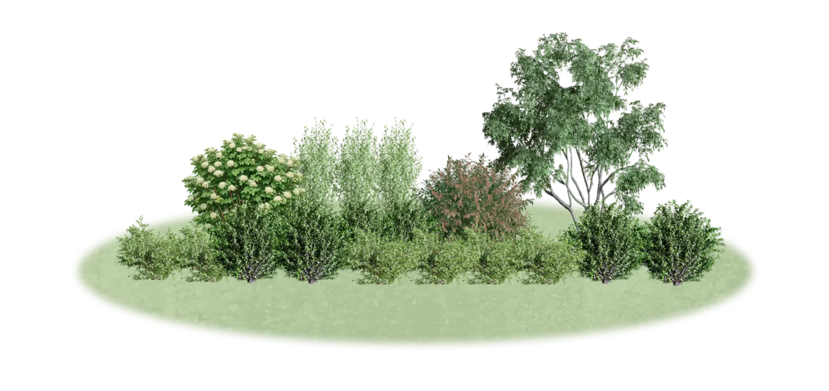 LandComp - панорама композиции в планировщике, лето